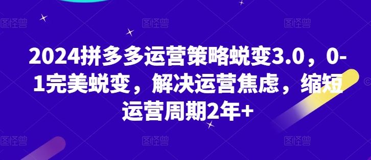 2024拼多多运营策略蜕变3.0，0-1完美蜕变，解决运营焦虑，缩短运营周期2年+-桐创网