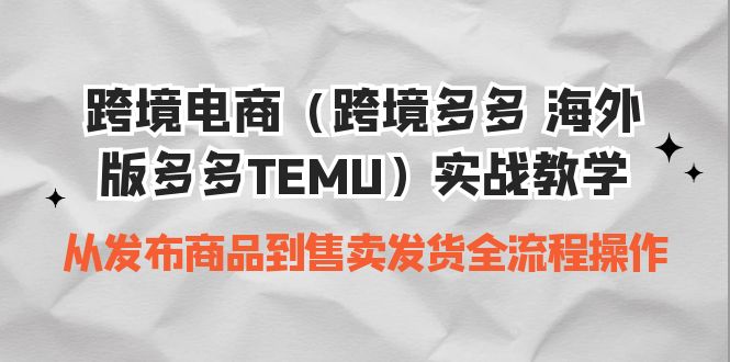 （6989期）跨境电商（跨境多多 海外版多多TEMU）实操教学 从发布商品到售卖发货全流程-桐创网