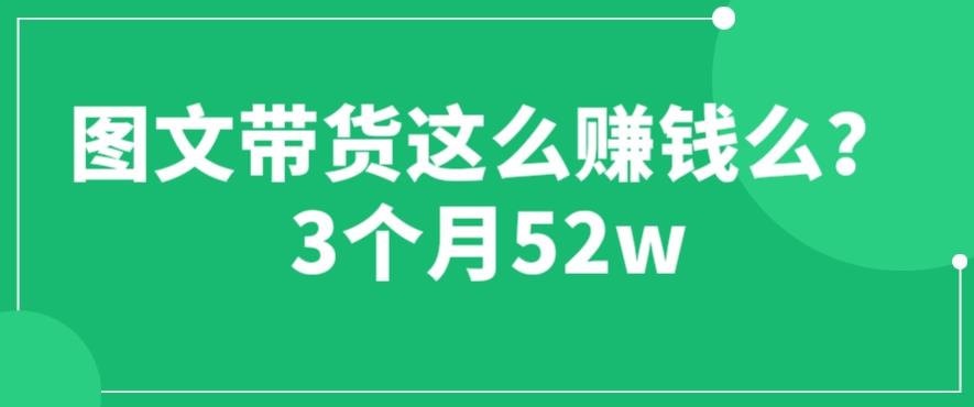 图文带货这么赚钱么? 3个月52W 图文带货运营加强课【揭秘】-桐创网