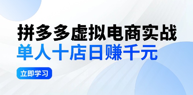 （12326期）拼多多虚拟电商实战：单人10店日赚千元，深耕老项目，稳定盈利不求风口-桐创网