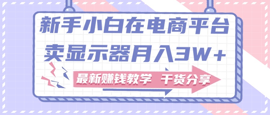 （11053期）新手小白如何做到在电商平台卖显示器月入3W+，最新赚钱教学干货分享-桐创网