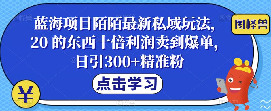 蓝海项目陌陌最新私域玩法，20 的东西十倍利润卖到爆单，日引300+精准粉【揭秘】-桐创网