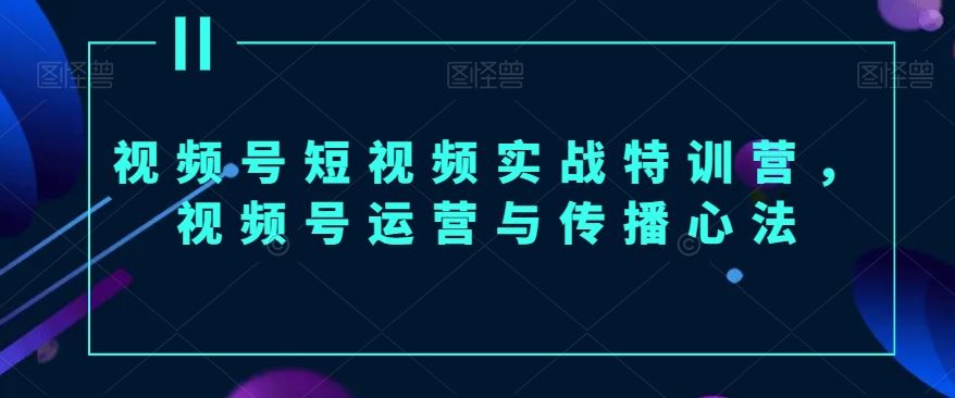 视频号短视频实战特训营，视频号运营与传播心法-桐创网