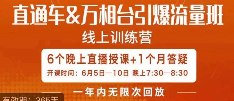 直通车&万相台引爆流量班，6天打通你开直通车·万相台的任督二脉-桐创网