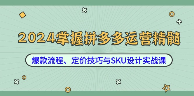 2024掌握拼多多运营精髓：爆款流程、定价技巧与SKU设计实战课-桐创网