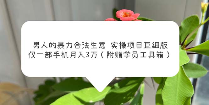 （5962期）男人的暴力合法生意实操项目巨细版：仅一部手机月入3w（附赠学员工具箱）-桐创网