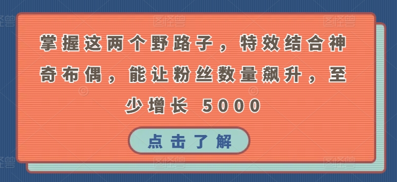 掌握这两个野路子，特效结合神奇布偶，能让粉丝数量飙升，至少增长 5000-桐创网