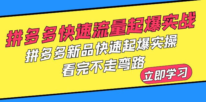 （6253期）拼多多-快速流量起爆实战，拼多多新品快速起爆实操，看完不走弯路-桐创网