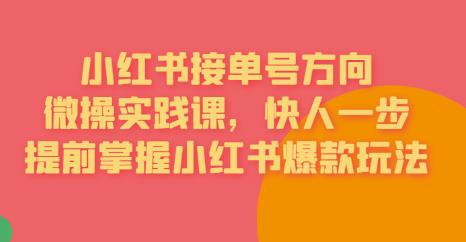 接单号方向·小红书微操实践课，快人一步，提前掌握小红书爆款玩法-桐创网