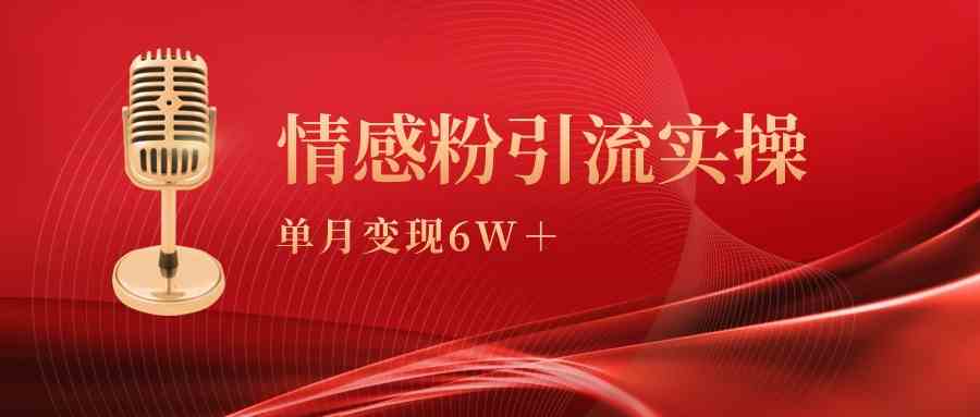 （9473期）单月变现6w+，情感粉引流变现实操课-桐创网