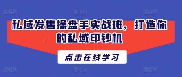 私域发售操盘手实战班，打造你的私域印钞机-桐创网