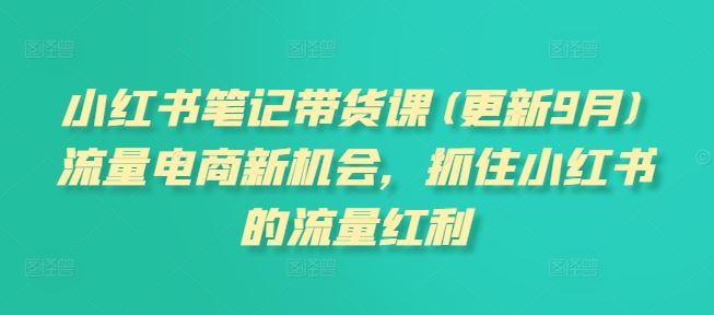 小红书笔记带货课(更新9月)流量电商新机会，抓住小红书的流量红利-桐创网