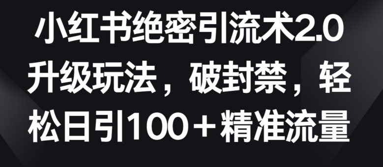 小红书绝密引流术2.0升级玩法，破封禁，轻松日引100+精准流量-桐创网