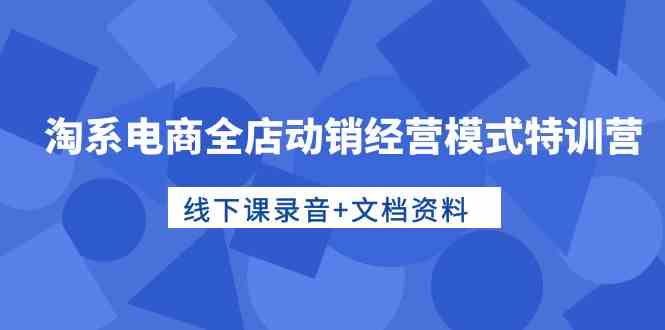 （10192期）淘系电商全店动销经营模式特训营，线下课录音+文档资料-桐创网