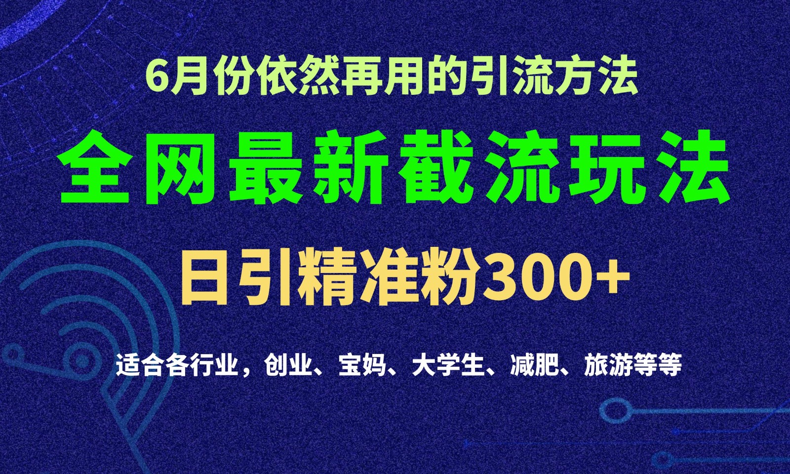 2024全网最新截留玩法，每日引流突破300+-桐创网