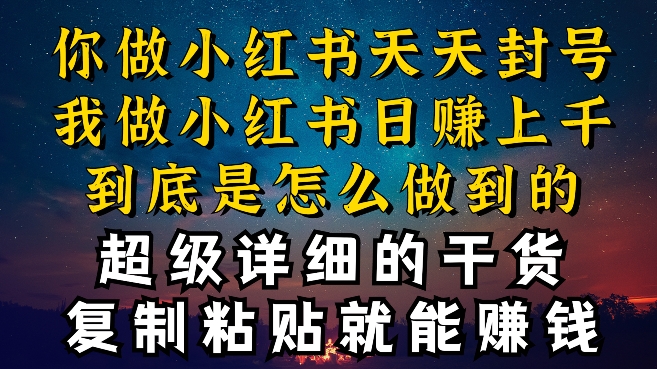 都知道小红书能引流私域变现，可为什么我能一天引流几十人变现上千，但你却频频封号违规被限流-桐创网