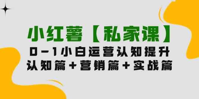 （9910期）小红薯【私家课】0-1玩赚小红书内容营销，认知篇+营销篇+实战篇（11节课）-桐创网