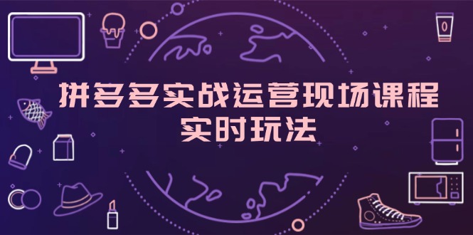 （11759期）拼多多实战运营现场课程，实时玩法，爆款打造，选品、规则解析-桐创网