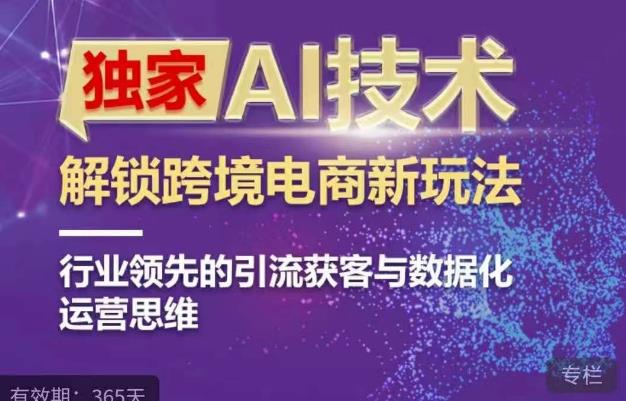 独家AI技术&ChatGPT解锁跨境电商新玩法，行业领先的引流获客与数据化运营思维-桐创网