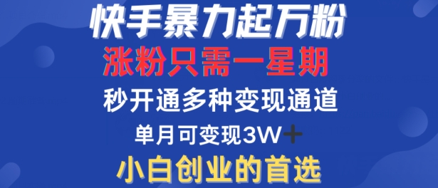 快手暴力起万粉，涨粉只需一星期，多种变现模式，直接秒开万合，单月变现过W【揭秘】-桐创网