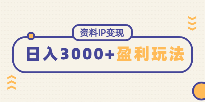 （4576期）资料IP变现，能稳定日赚3000起的持续性盈利玩法-桐创网