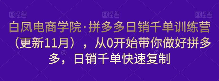 白凤电商学院·拼多多日销千单训练营，从0开始带你做好拼多多，日销千单快速复制（更新知2023年3月）-桐创网