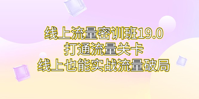 线上流量密训班19.0，打通流量关卡，线上也能实战流量破局-桐创网