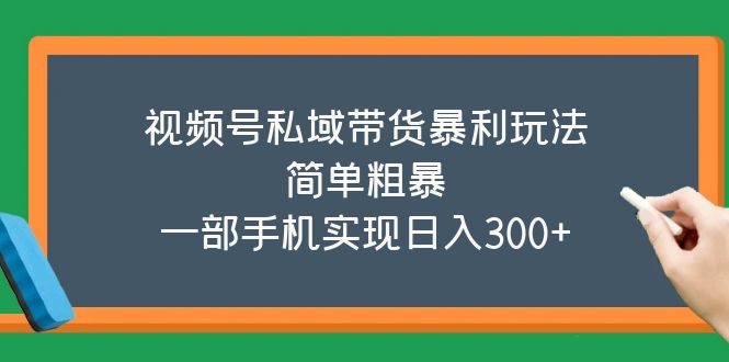 （5544期）视频号私域带货暴利玩法，简单粗暴，一部手机实现日入300+-桐创网