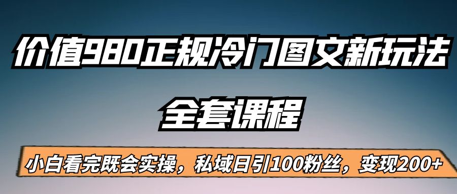 外面卖980的正规冷门图文新玩法，私域日引100粉丝，变现200+-桐创网