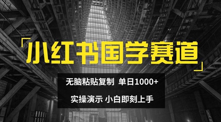 小红书国学赛道，无脑粘贴复制，单日1K，实操演示，小白即刻上手【揭秘】-桐创网