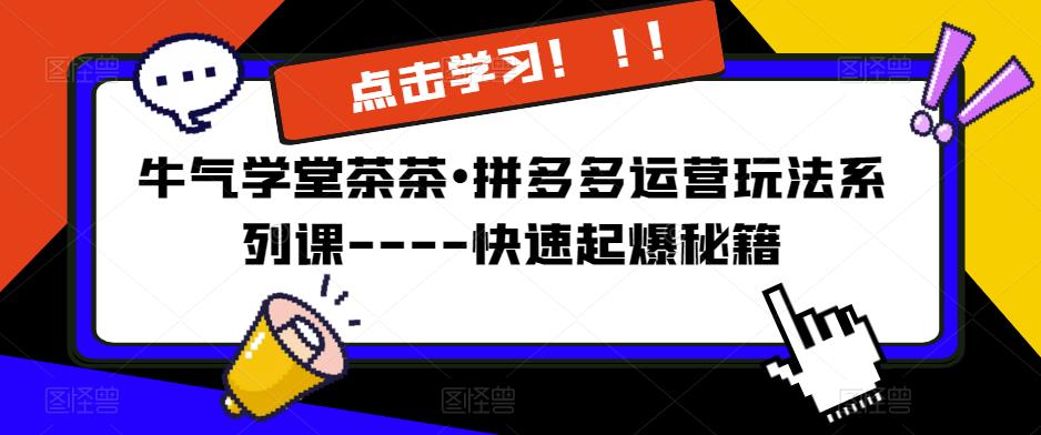 牛气学堂茶茶•拼多多运营玩法系列课—-快速起爆秘籍【更新】-桐创网