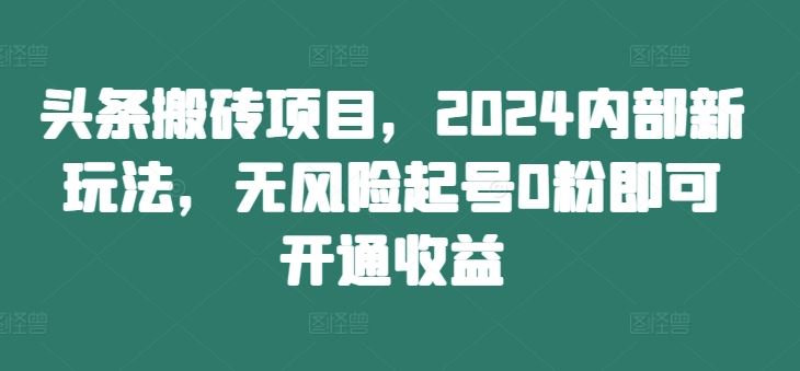 头条搬砖项目，2024内部新玩法，无风险起号0粉即可开通收益-桐创网