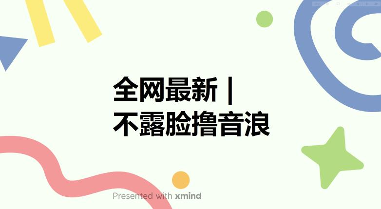 全网最新不露脸撸音浪，跑通自动化成交闭环，实现出单+收徒收益最大化【揭秘】-桐创网