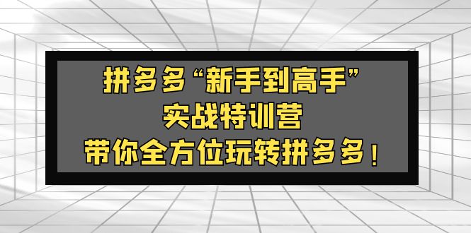 （5173期）拼多多“新手到高手”实战特训营：带你全方位玩转拼多多！-桐创网