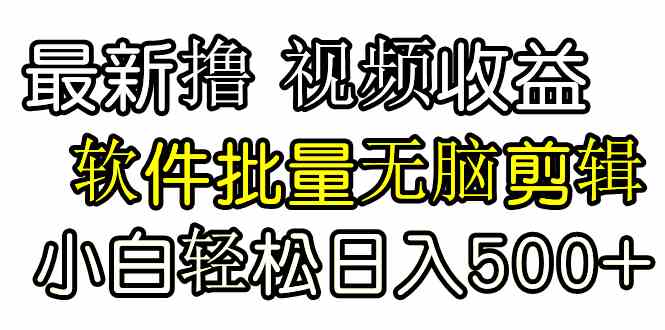 （9569期）发视频撸收益，软件无脑批量剪辑，第一天发第二天就有钱-桐创网