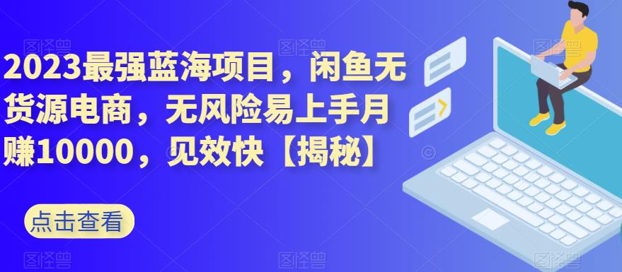 2023最强蓝海项目，闲鱼无货源电商，无风险易上手月赚10000，见效快【揭秘】-桐创网