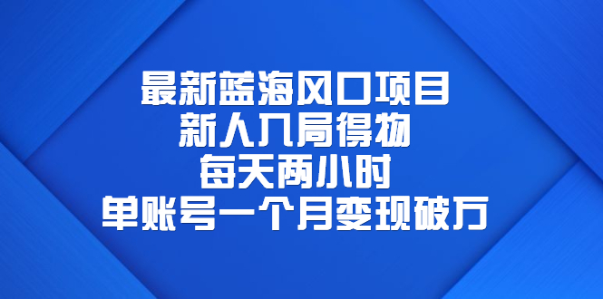 （6514期）最新蓝海风口项目，新人入局得物，每天两小时，单账号一个月变现破万-桐创网