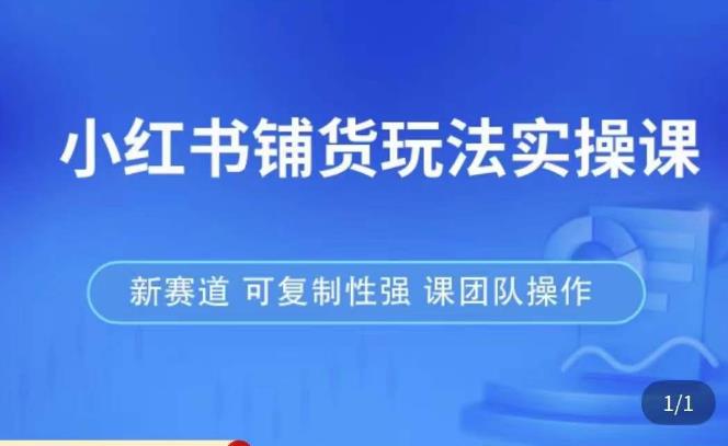 小红书铺货玩法实操课，流量大，竞争小，非常好做，新赛道，可复制性强，可团队操作-桐创网