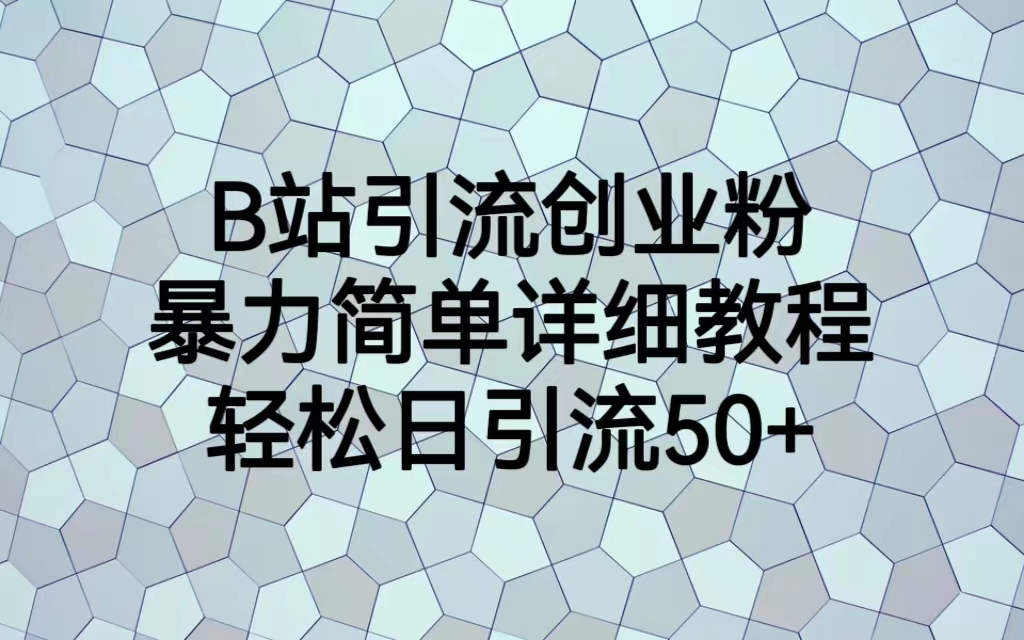 （6639期）B站引流创业粉，暴力简单详细教程，轻松日引流50+-桐创网