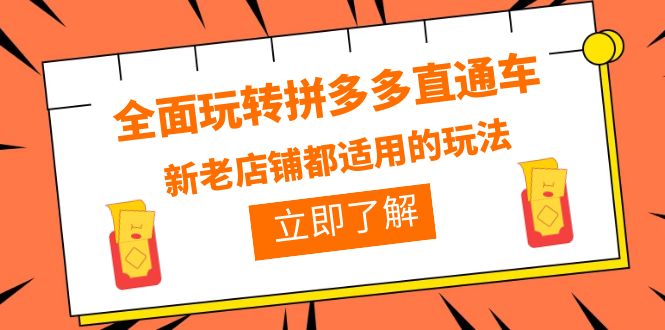 （6294期）全面玩转拼多多直通车，新老店铺都适用的玩法（12节精华课）-桐创网