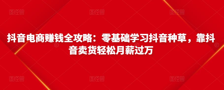 抖音电商赚钱全攻略：零基础学习抖音种草，靠抖音卖货轻松月薪过万-桐创网