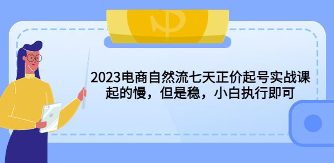 2023电商自然流七天正价起号实战课：起的慢，但是稳，小白执行即可！-桐创网