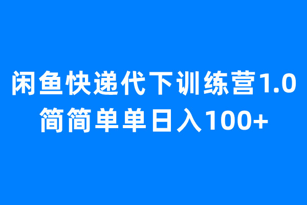 （6653期）闲鱼快递代下训练营1.0，简简单单日入100+-桐创网