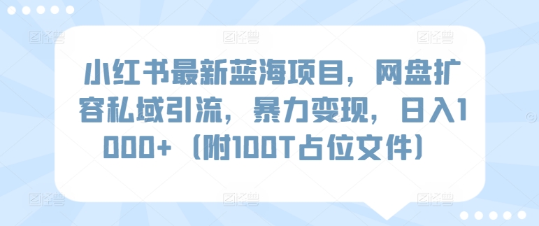 小红书最新蓝海项目，网盘扩容私域引流，暴力变现，日入1000+（附100T占位文件）-桐创网