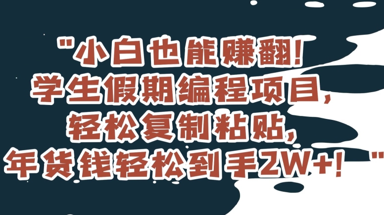 小白也能赚翻！学生假期编程项目，轻松复制粘贴，年货钱轻松到手2W+【揭秘】-桐创网