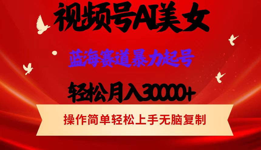 （12178期）视频号AI美女跳舞，轻松月入30000+，蓝海赛道，流量池巨大，起号猛，当…-桐创网