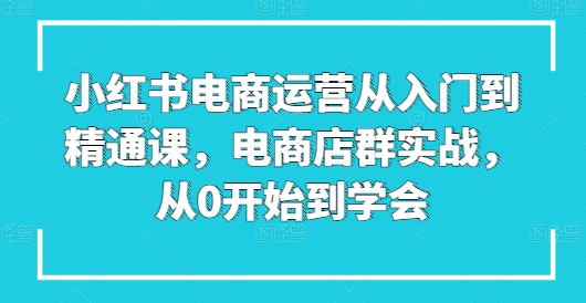 小红书电商运营从入门到精通课，电商店群实战，从0开始到学会-桐创网