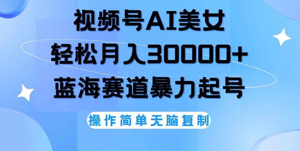 （12125期）视频号AI美女跳舞，轻松月入30000+，蓝海赛道，流量池巨大，起号猛，无…-桐创网