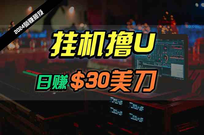 （10013期）日赚30美刀，2024最新海外挂机撸U内部项目，全程无人值守，可批量放大-桐创网