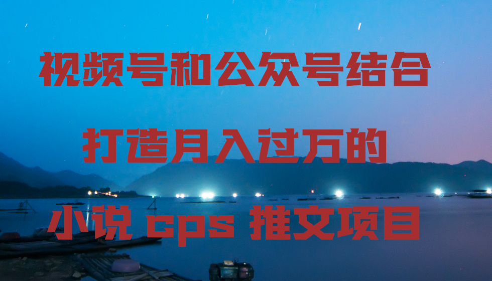 视频号和公众号结合打造月入过万的小说cps推文项目，包括市面上面的各种思路详解-桐创网